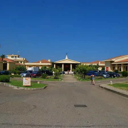 Argonauti ピスティッチ